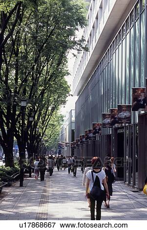 Omotesando, Tokyo, Japan View Large Photo Image Stock Photo - Omotesando, Tokyo, Japan. Fotosearch