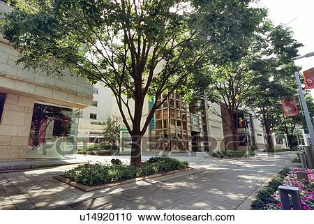 Stock Image - Roppongi, Tokyo, Japan. Fotosearch