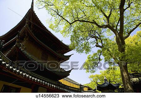 Asia, China, Zhejiang Province, Putuoshan, Puji Temple Scenic Area, Puji Temple View Large Photo Image Stock Image - Asia, China, Zhejiang Province, Putuoshan, Puji Temple Scenic Area, Puji Temple. Fotosearch