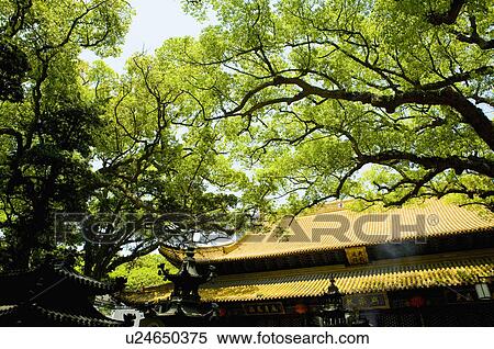 Asia, China, Zhejiang Province, Putuoshan, Fayu Temple Scenic Area, Fayu Temple, Grand Yuantung Hall View Large Photo Image Stock Photography - Asia, China, Zhejiang Province, Putuoshan, Fayu Temple Scenic Area, Fayu Temple, Grand Yuantung Hall. Fotosearch