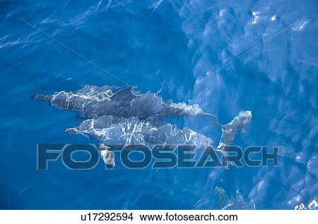 Asia, China, Taiwan, Yilan, Gueishan Island View Large Photo Image Picture - Asia, China, Taiwan, Yilan, Gueishan Island. Fotosearch