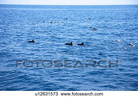 Stock Image - Asia, China, Taiwan, Yilan, Gueishan Island. Fotosearch