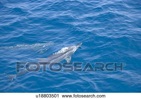 Stock Image - Asia, China, Taiwan, Yilan, Gueishan Island. Fotosearch