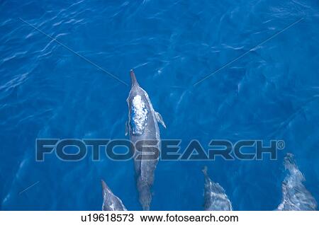 Stock Image - Asia, China, Taiwan, Yilan, Gueishan Island. Fotosearch