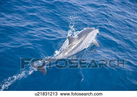 Stock Image - Asia, China, Taiwan, Yilan, Gueishan Island. Fotosearch