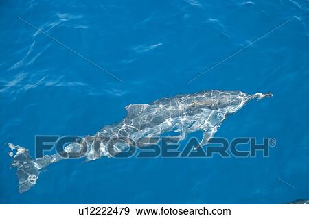 Asia, China, Taiwan, Yilan, Gueishan Island View Large Photo Image Stock Photo - Asia, China, Taiwan, Yilan, Gueishan Island. Fotosearch