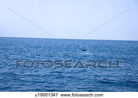 Asia, China, Taiwan, Yilan, Gueishan Island View Large Photo Image Stock Photo - Asia, China, Taiwan, Yilan, Gueishan Island. Fotosearch