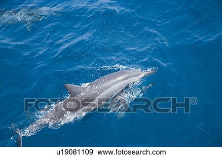 Asia, China, Taiwan, Yilan, Gueishan Island View Large Photo Image Stock Photo - Asia, China, Taiwan, Yilan, Gueishan Island. Fotosearch