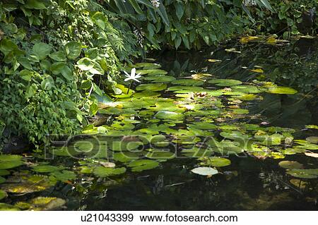 Stock Photo - Asia, China, Taiwan, Yilan, Gueishan Island, Cold Spring. Fotosearch