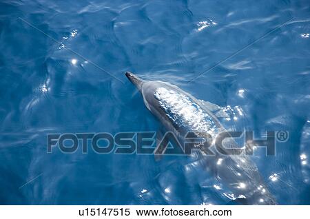 Asia, China, Taiwan, Yilan, Gueishan Island View Large Photo Image Stock Photography - Asia, China, Taiwan, Yilan, Gueishan Island. Fotosearch