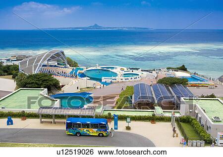 Asia, Japan, Okinawa, Ocean Expo Park View Large Photo Image Stock Photograph - Asia, Japan, Okinawa, Ocean Expo Park. Fotosearch