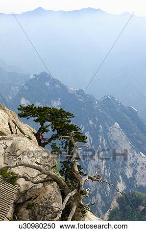 Asia, China, Shanxi, Huayin, Huashan Mountain, West Peak View Large Photo Image Stock Image - Asia, China, Shanxi, Huayin, Huashan Mountain, West Peak. Fotosearch