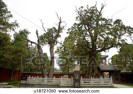 China, Shandong, Taian, Dai Temple, UNESCO, World Heritage, World Cultural Heritage View Large Photo Image Stock Image - China, Shandong, Taian, Dai Temple, UNESCO, World Heritage, World Cultural Heritage. Fotosearch