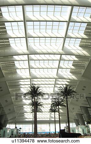 Stock Photo - Trees in the airport, Beijing, China. Fotosearch