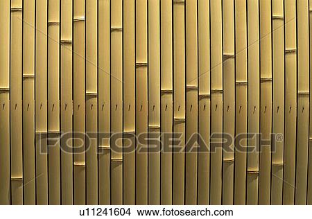 Bamboo wall View Large Photo Image Picture - Bamboo wall. Fotosearch