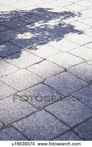 Flagstone and shadow View Large Photo Image Picture - Flagstone and shadow. Fotosearch