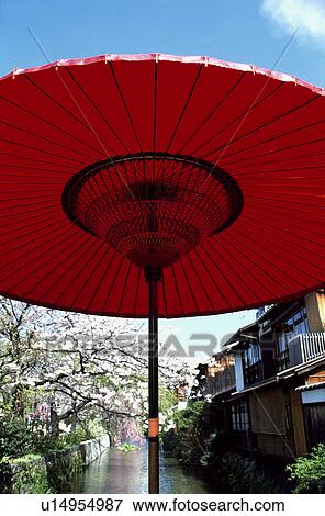 Nodate Parasol View Large Photo Image Stock Photo - Nodate Parasol. Fotosearch