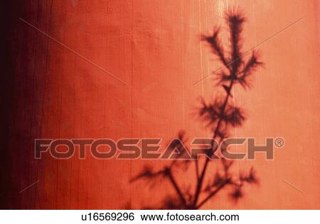 Shadow on Torii View Large Photo Image Stock Photograph - Shadow on Torii. Fotosearch