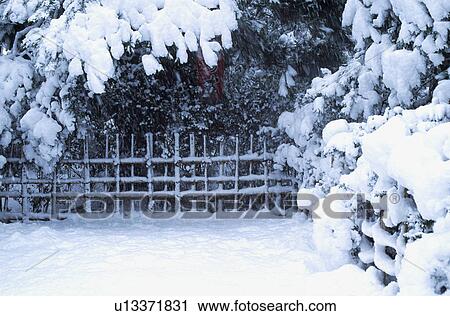 Stock Image - Snowscape in sagano, kyoto. Fotosearch