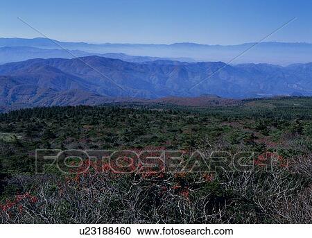 Asahi Mountain Ranges, Zao, Miyagi, Japan View Large Photo Image Stock Image - Asahi Mountain Ranges, Zao, Miyagi, Japan. Fotosearch