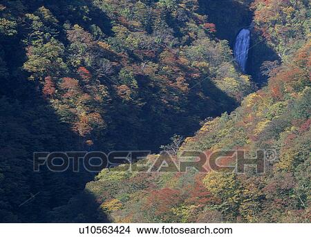 Picture - Fudoutaki, Zao, Miyagi, Japan. Fotosearch