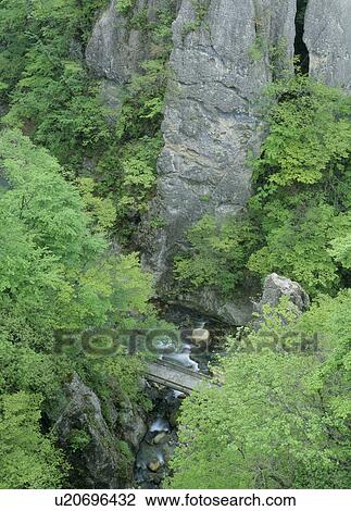 Naruko Gorge, Osaki, Miyagi, Japan View Large Photo Image Stock Image - Naruko Gorge, Osaki, Miyagi, Japan. Fotosearch