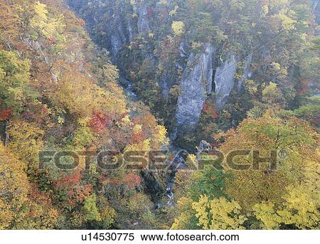 Stock Photography - Naruko Gorge, Osaki, Miyagi, Japan. Fotosearch