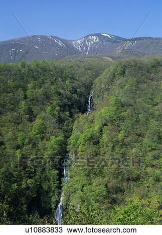 Stock Image - Sankaitaki, Zao, Miyagi, Japan. Fotosearch