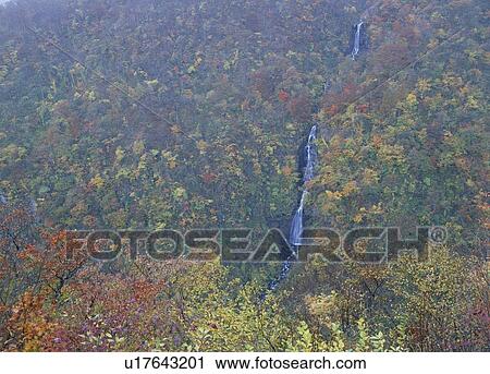 Stock Image - Sankaitaki, Zao, Miyagi, Japan. Fotosearch