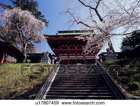 Stock Photo - Shiogama Shrine, Shiogama, Miyagi, Japan. Fotosearch