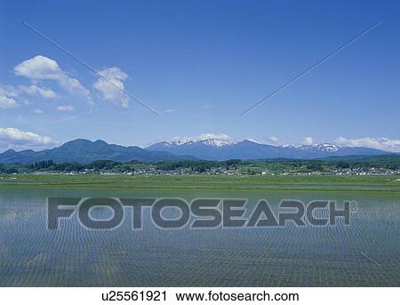 Zao Mountains, Zao, Miyagi, Japan View Large Photo Image Stock Image - Zao Mountains, Zao, Miyagi, Japan. Fotosearch