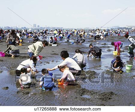 Stock Photo - Clamming, Funabashi, Chiba, Japan. Fotosearch