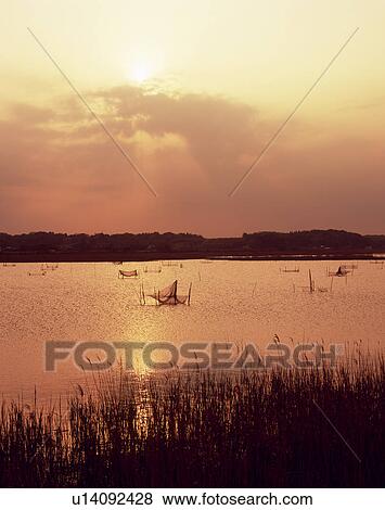 Inbanuma, Narita, Chiba, Japan View Large Photo Image Stock Photo - Inbanuma, Narita, Chiba, Japan. Fotosearch