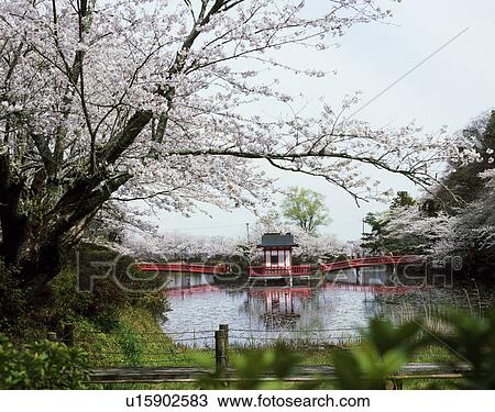 Stock Image - Mobara Park, Mobara, Chiba, Japan. Fotosearch