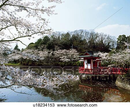 Stock Image - Mobara Park, Mobara, Chiba, Japan. Fotosearch