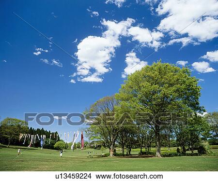Showa No Mori Park, Chiba, Japan View Large Photo Image Picture - Showa No Mori Park, Chiba, Japan. Fotosearch