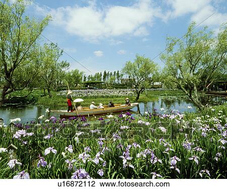Stock Image - Suigou Sawara Municipal Aquatic Botanical Garden, Katori, Chiba, Japan. Fotosearch
