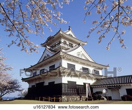 Tateyama Castle, Chiba, Japan View Large Photo Image Picture - Tateyama Castle, Chiba, Japan. Fotosearch