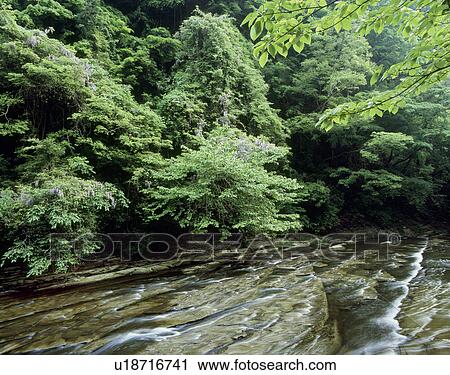 Stock Image - Yoro Keikoku, Otaki, Chiba, Japan. Fotosearch