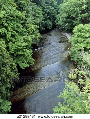 Yoro Keikoku, Otaki, Chiba, Japan View Large Photo Image Stock Image - Yoro Keikoku, Otaki, Chiba, Japan. Fotosearch