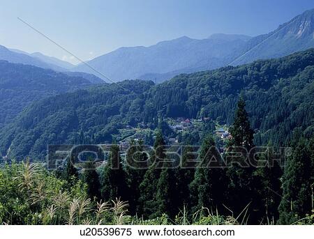 Stock Photography - Akiyama Go, Sakae, Nagano, Japan. Fotosearch
