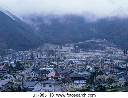 Apricot Village, Chikuma, Nagano, Japan View Large Photo Image Stock Image - Apricot Village, Chikuma, Nagano, Japan. Fotosearch