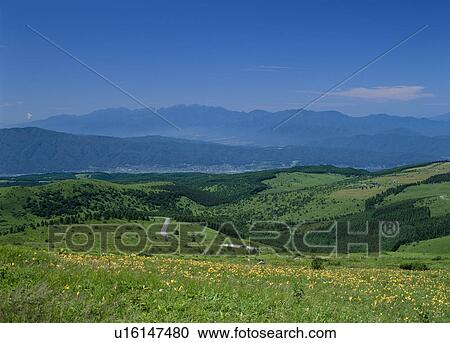 Kirigamine Highland, Suwa, Nagano, Japan View Large Photo Image Stock Image - Kirigamine Highland, Suwa, Nagano, Japan. Fotosearch