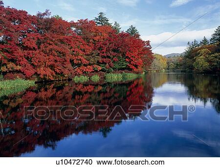 Kumoba Lake, Karuizawa, Nagano, Japan View Large Photo Image Stock Image - Kumoba Lake, Karuizawa, Nagano, Japan. Fotosearch