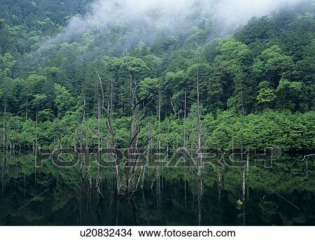 Lake Shizen, Otaki, Nagano, Japan View Large Photo Image Picture - Lake Shizen, Otaki, Nagano, Japan. Fotosearch
