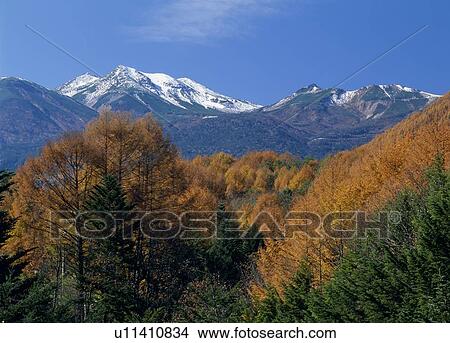 Norikura Highland, Matsumoto, Nagano, Japan View Large Photo Image Picture - Norikura Highland, Matsumoto, Nagano, Japan. Fotosearch