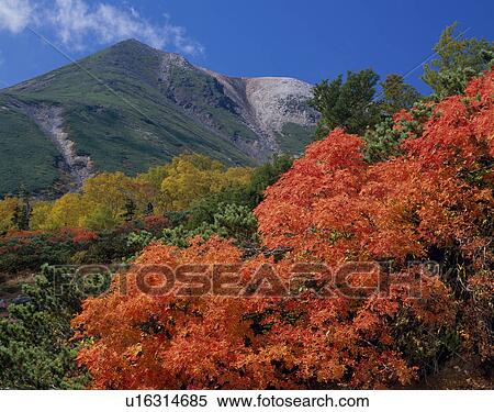 Norikura Highland, Matsumoto, Nagano, Japan View Large Photo Image Stock Photography - Norikura Highland, Matsumoto, Nagano, Japan. Fotosearch