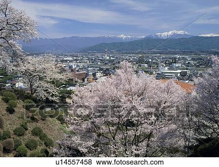 South Alps, Ina, Nagano, Japan View Large Photo Image Stock Photo - South Alps, Ina, Nagano, Japan. Fotosearch