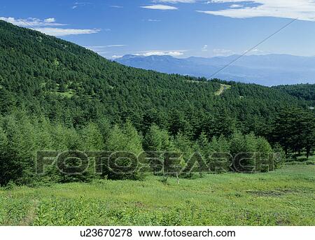 Takamine Highland, Komoro, Nagano, Japan View Large Photo Image Stock Photo - Takamine Highland, Komoro, Nagano, Japan. Fotosearch