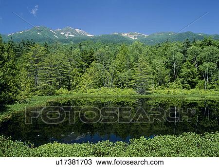 Stock Image - Usidomeike, Matsumoto, Nagano, Japan. Fotosearch